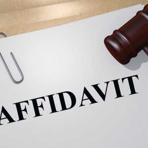 DFS - Guide on Writing Affidavit [Unrebutted Affidavit stands as truth PACKAGE]